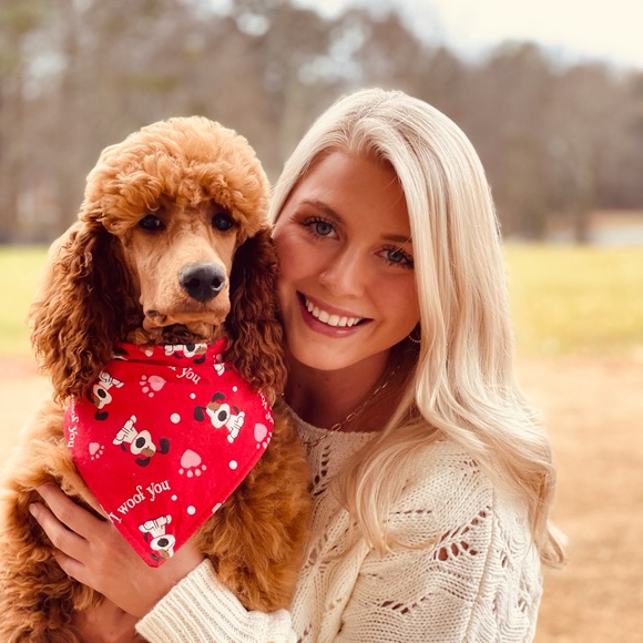 Meet your Posher, Madison - Picture 1 of 1